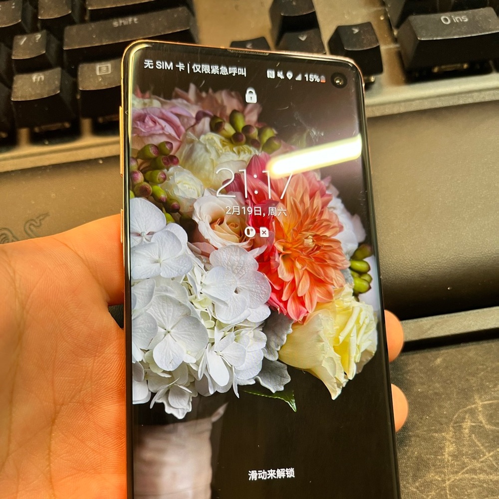 Samsung s10